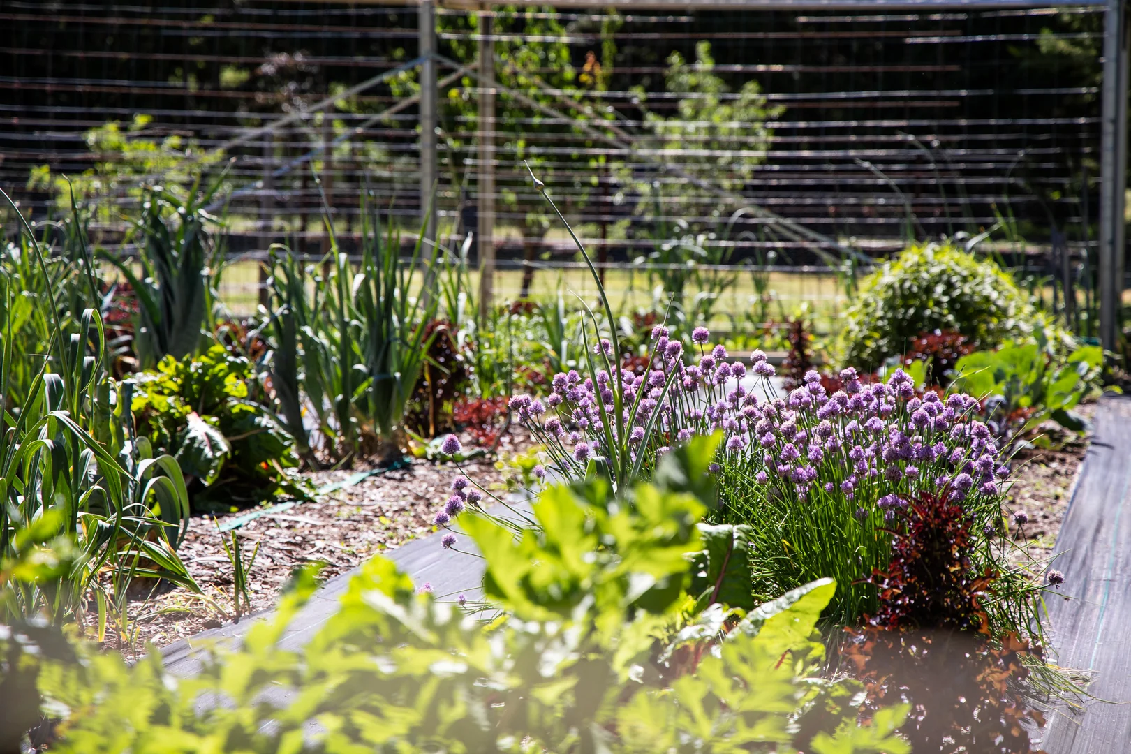 Additional image 33 of 2775 Barton Highway, Murrumbateman NSW 2582