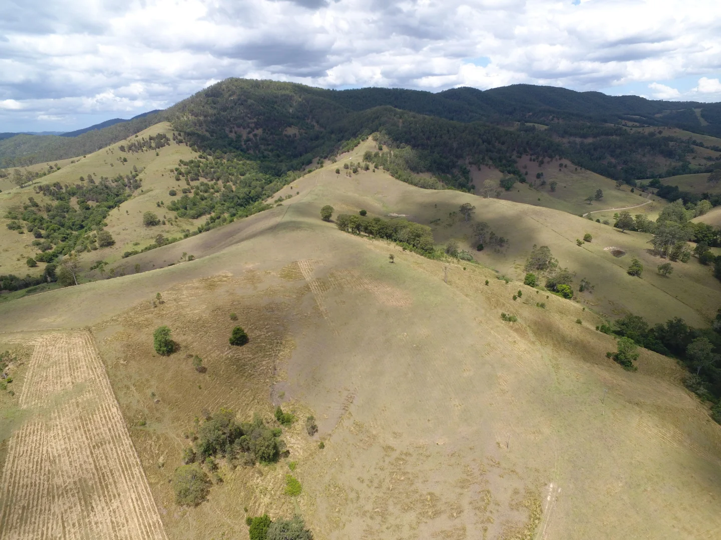 Additional image 7 of 343 Berrico Creek Road, Gloucester NSW 2422