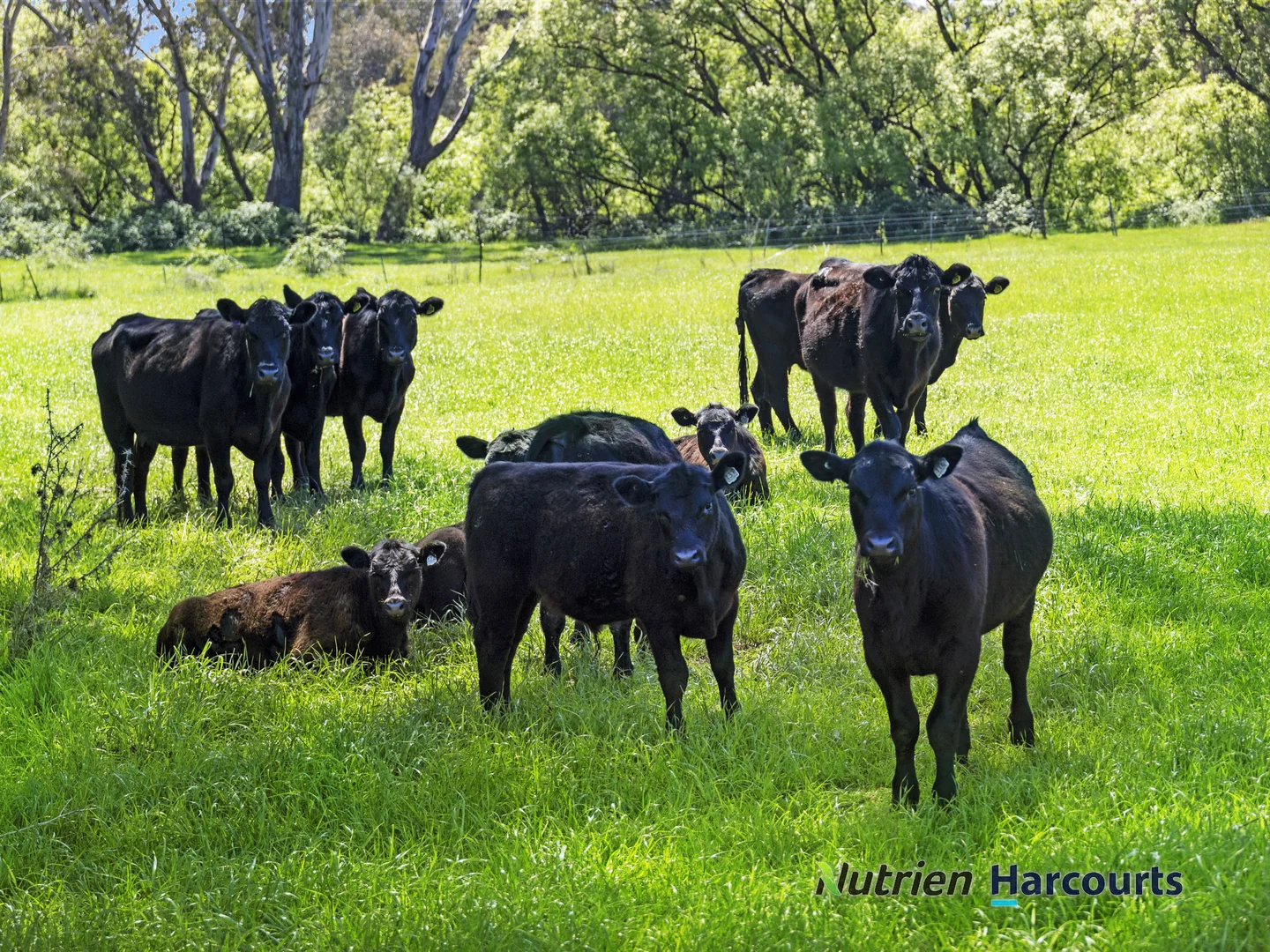 Additional image 23 of 26 Baynes Road, Molesworth VIC 3718