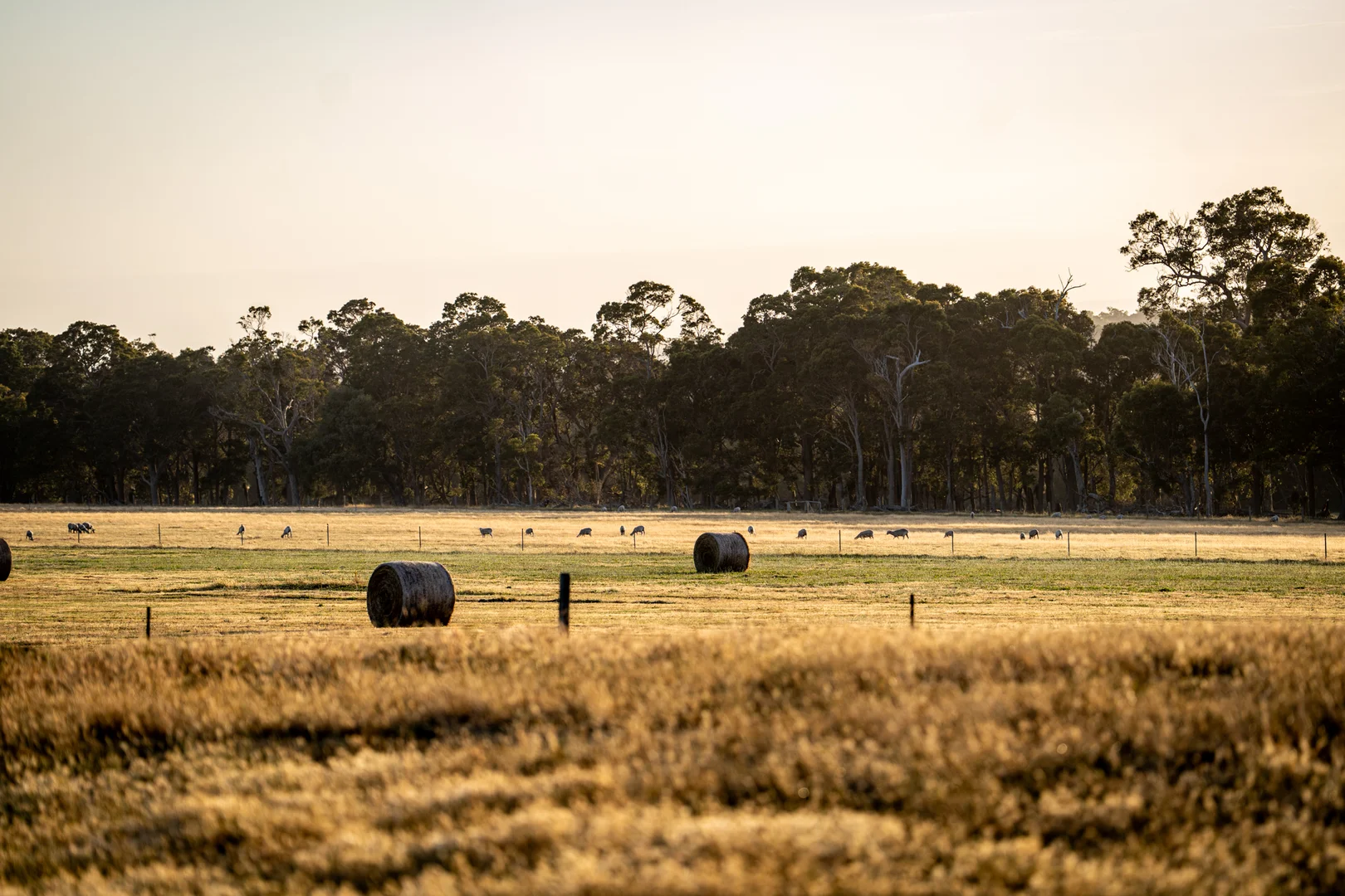 Additional image 6 of 89 Worgan Road, Metricup WA 6280