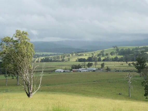 Additional image 24 of 119 Duck Creek Road, Old Bonalbo NSW 2469