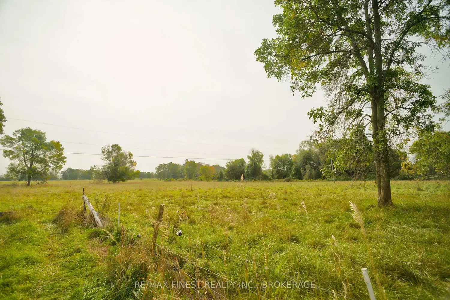 Additional image 15 of 15355 Front Road