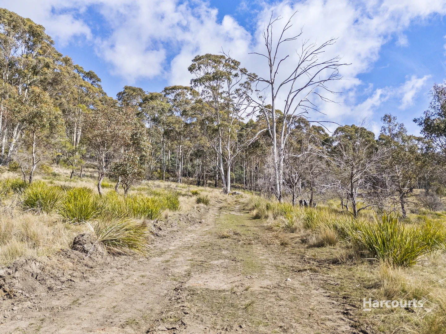 Additional image 2 of Lot 1/4115 Tasman Highway, Runnymede TAS 7190