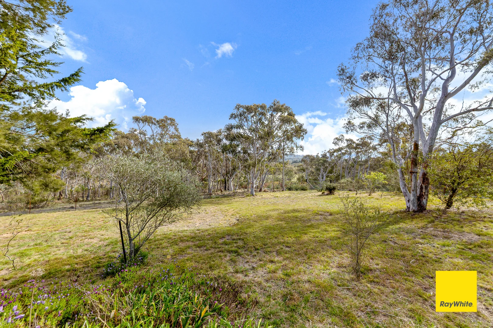 Additional image 21 of 697 Bungendore Rd, Bywong NSW 2621