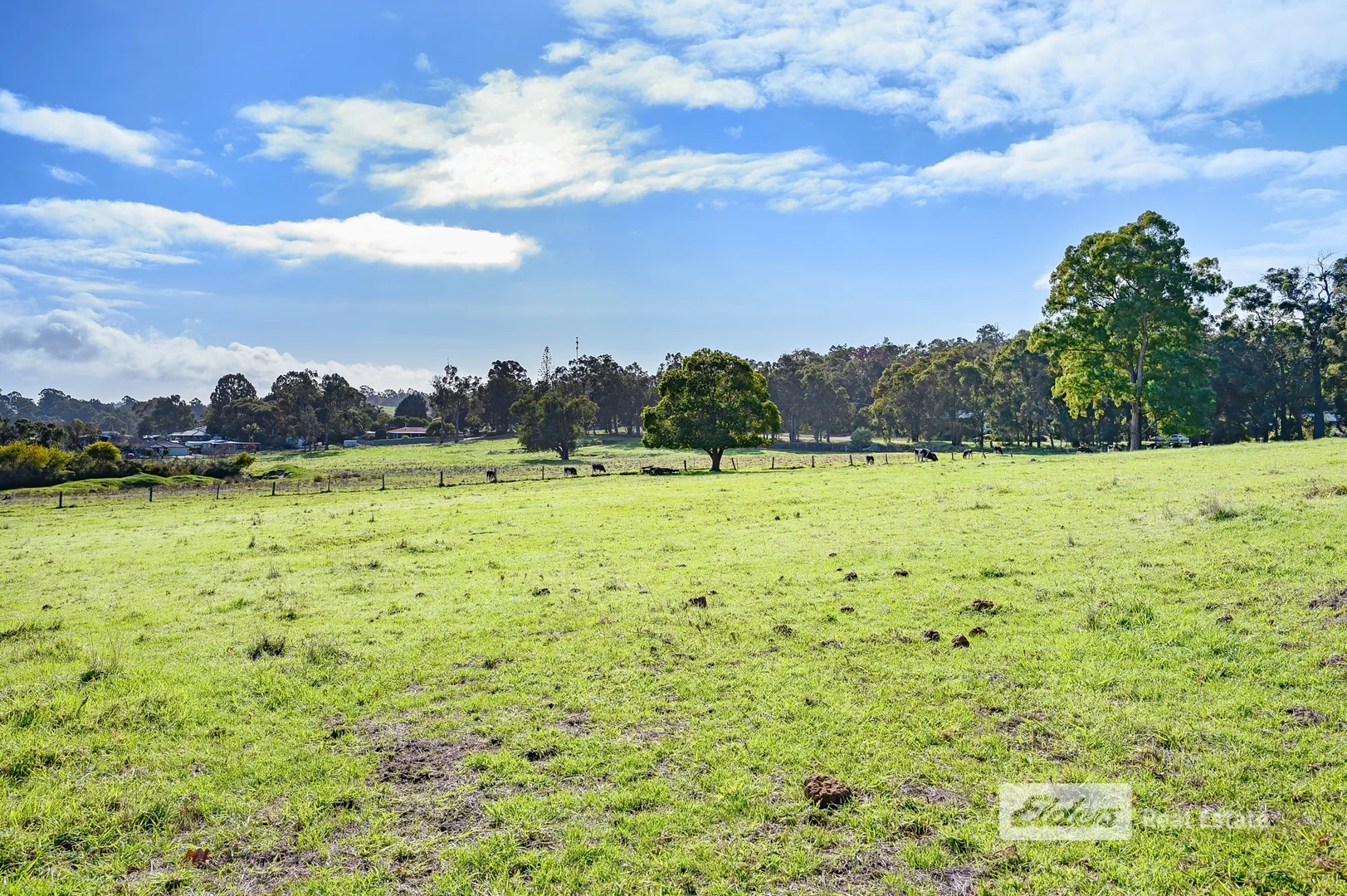 Additional image 18 of 130 | 131 Thomson Street, Donnybrook WA 6239