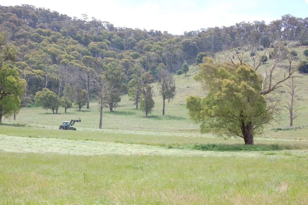 Additional image 27 of 40 Simpsons Creek Track, Nariel Valley VIC 3707