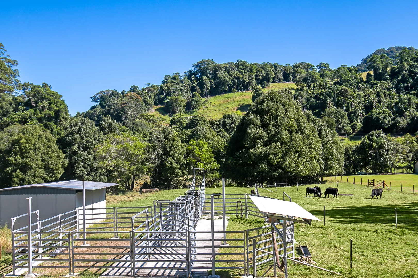 Additional image 20 of 483 Urliup Road, Urliup NSW 2484