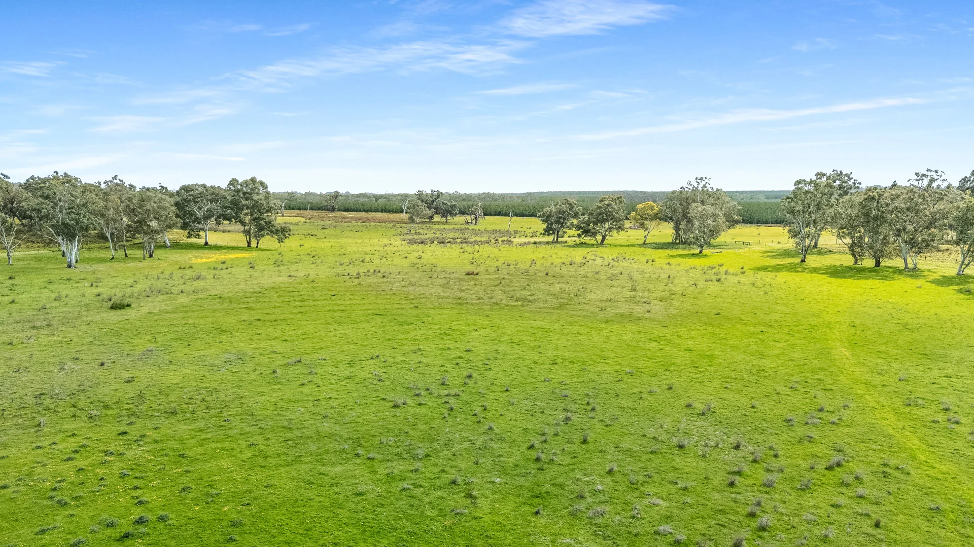 Additional image 23 of 1242 Old Comaum Rd, Coonawarra SA 5263