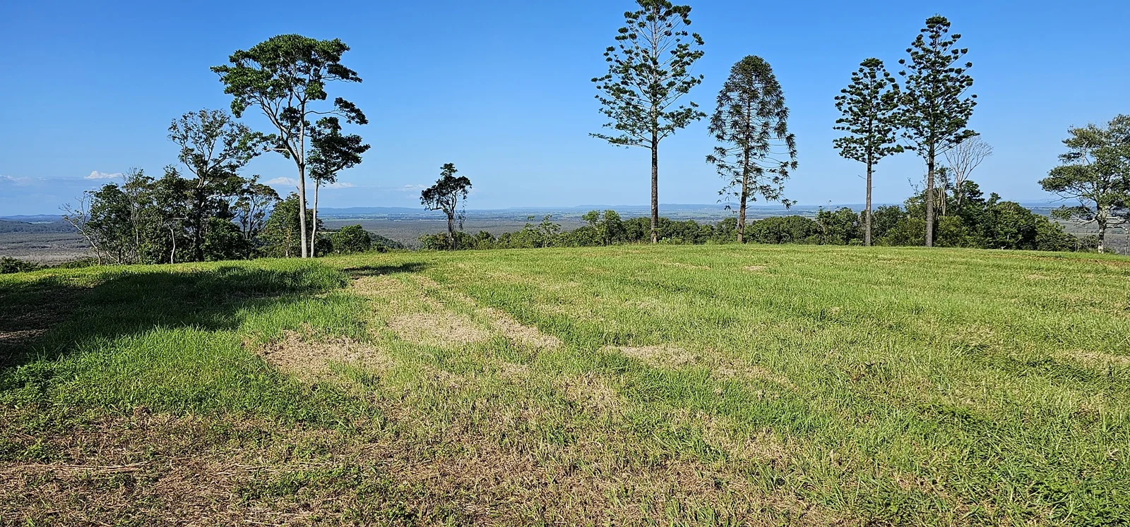 Additional image 10 of Dalwood NSW 2477