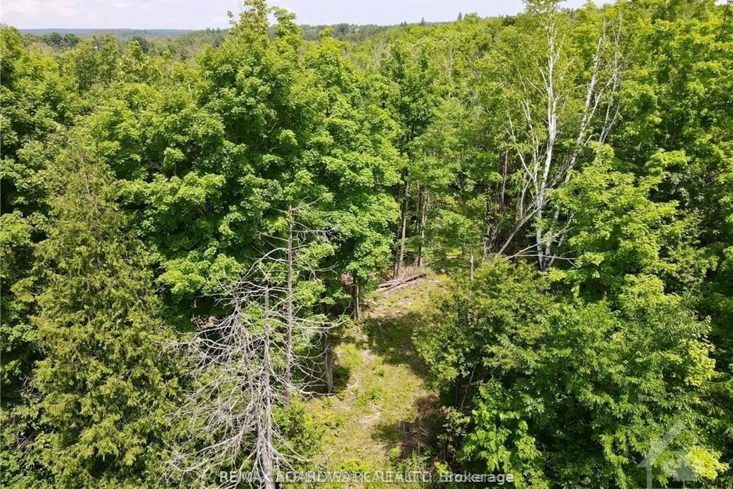 Additional image 3 of 1375 Sheridan Rapids Road