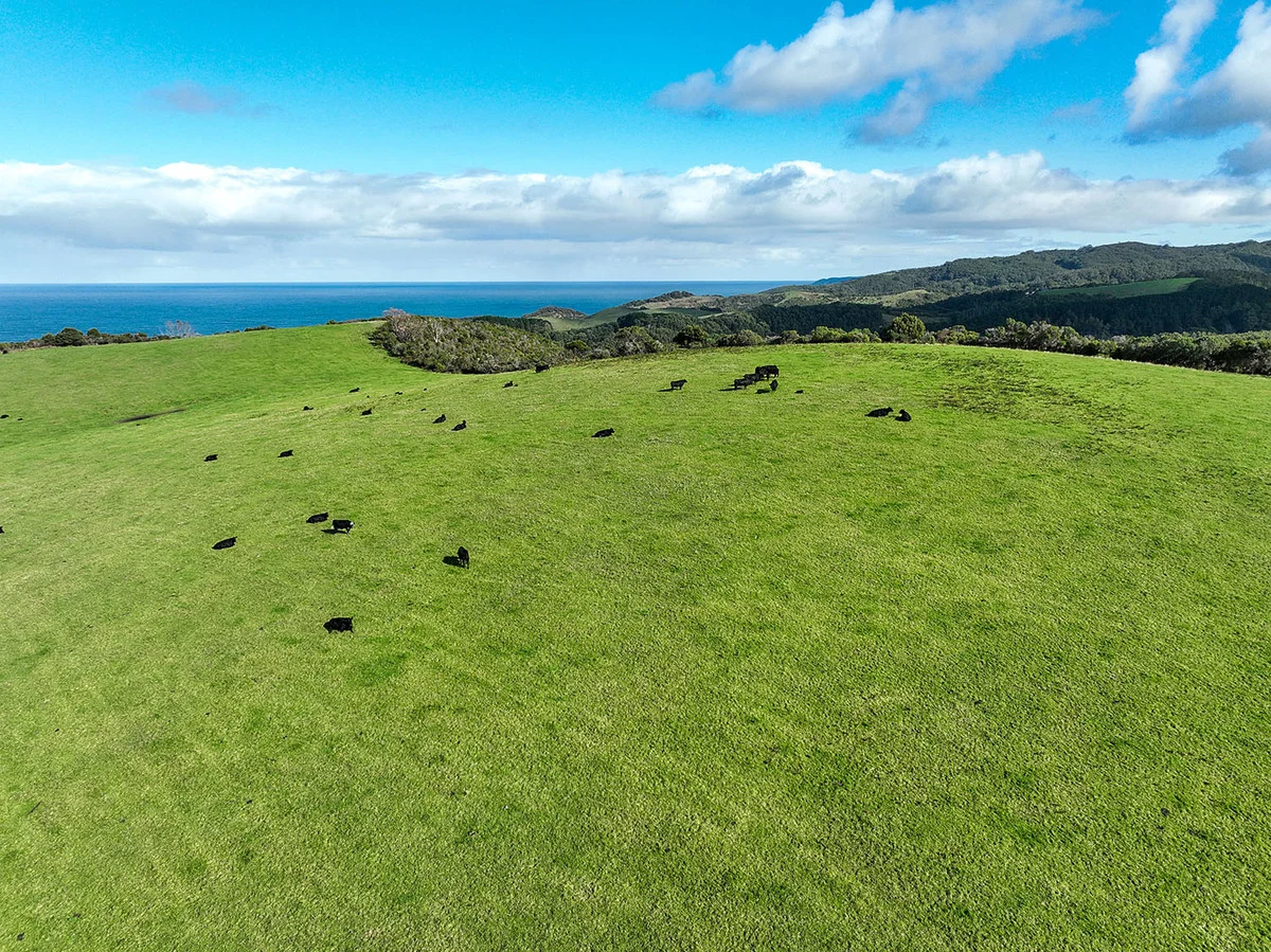 Additional image 7 of 105 Stafford Road, Johanna VIC 3238