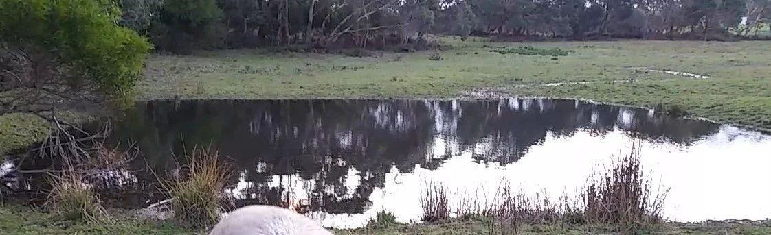 Additional image 34 of 72 DOUGHERTIES ROAD, Portland West VIC 3305