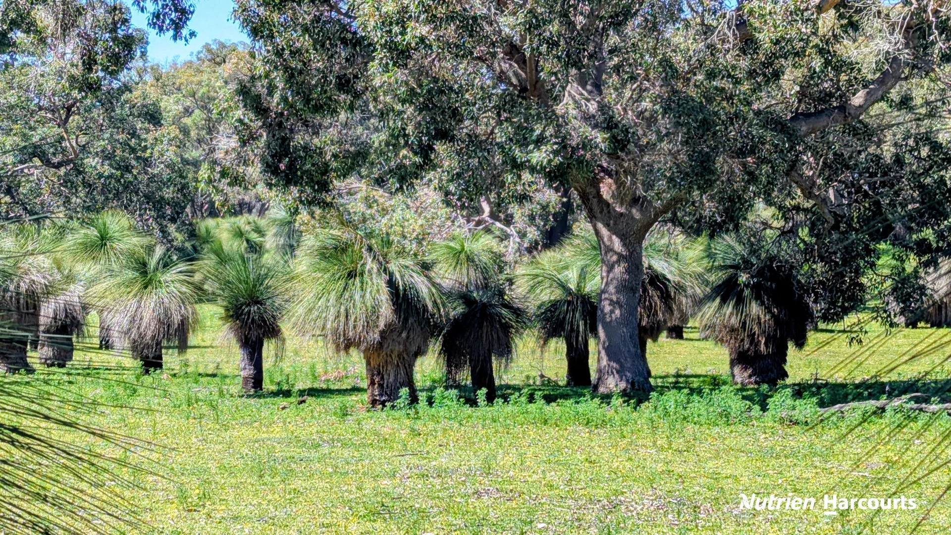 Additional image 32 of Lot 53 Cowalla Road, Cowalla WA 6503