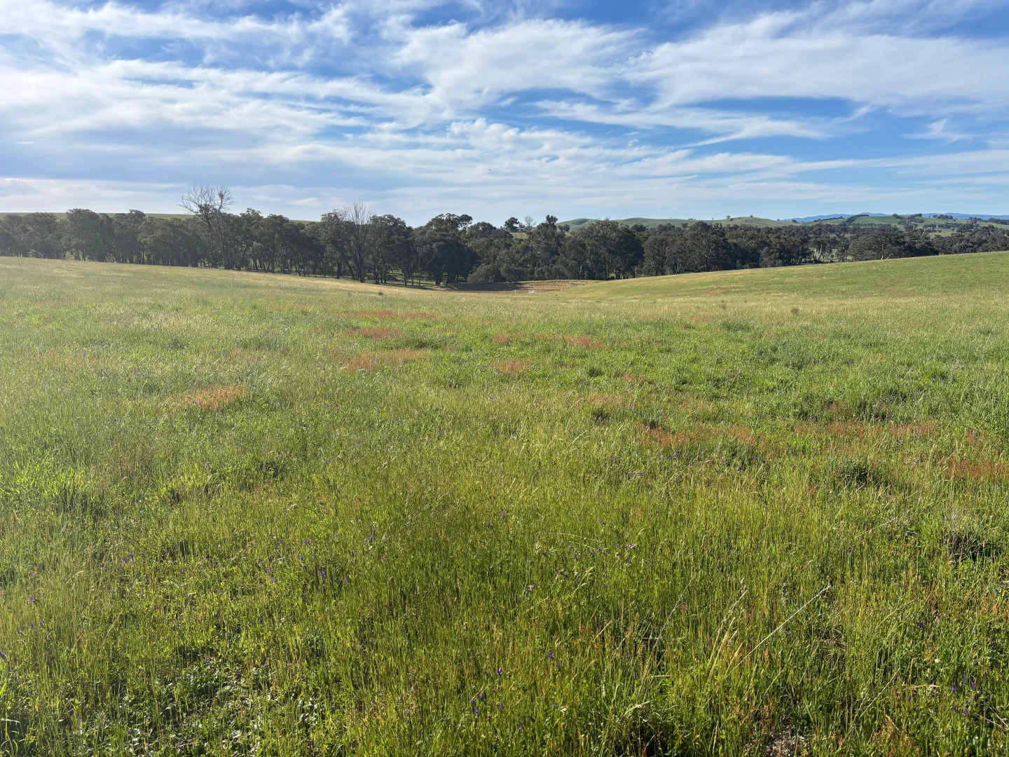 Additional image 28 of 1050 Garland Road, Garland NSW 2797