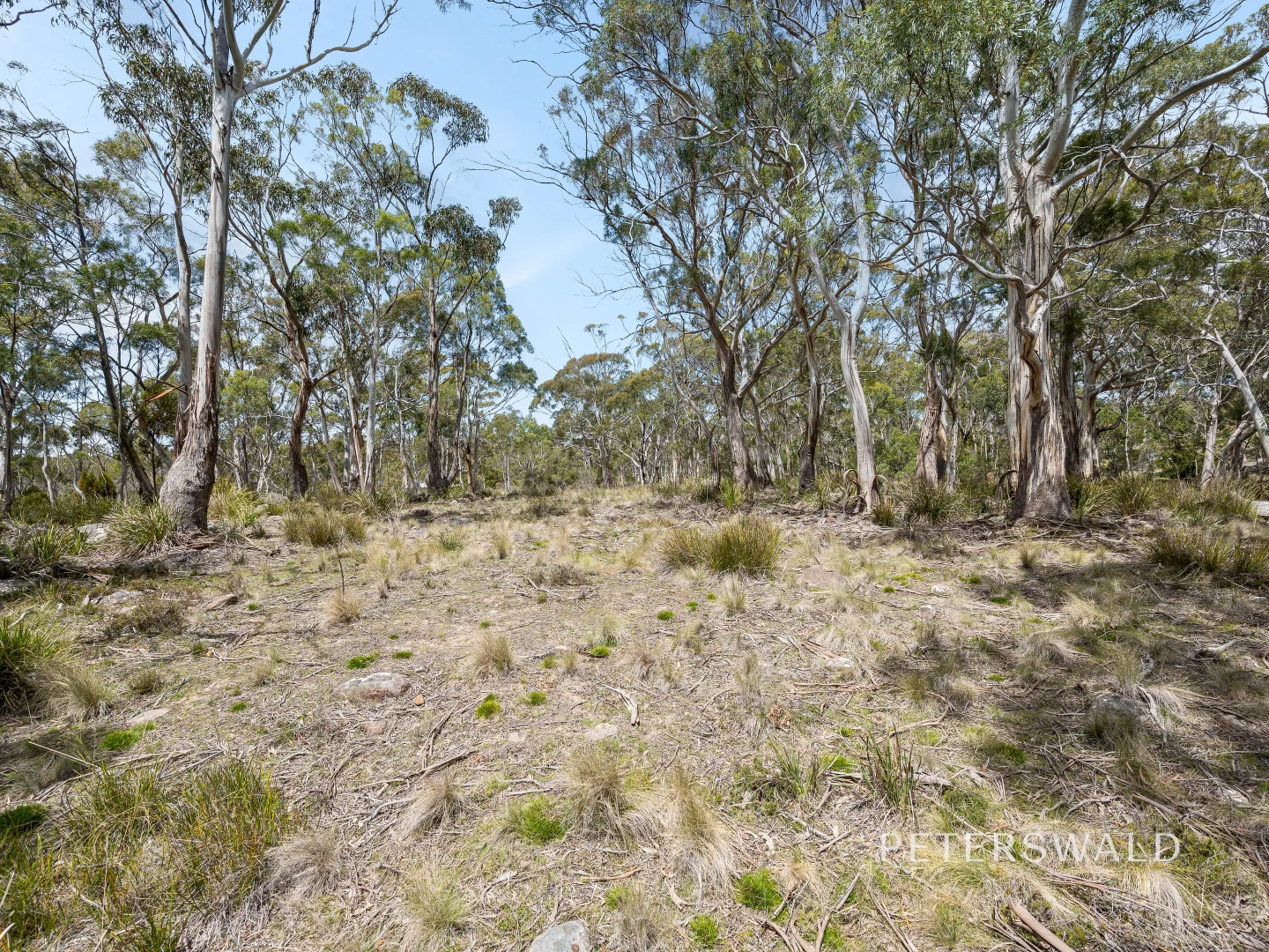Additional image 7 of 626 Nelson Road, Mount Nelson TAS 7007