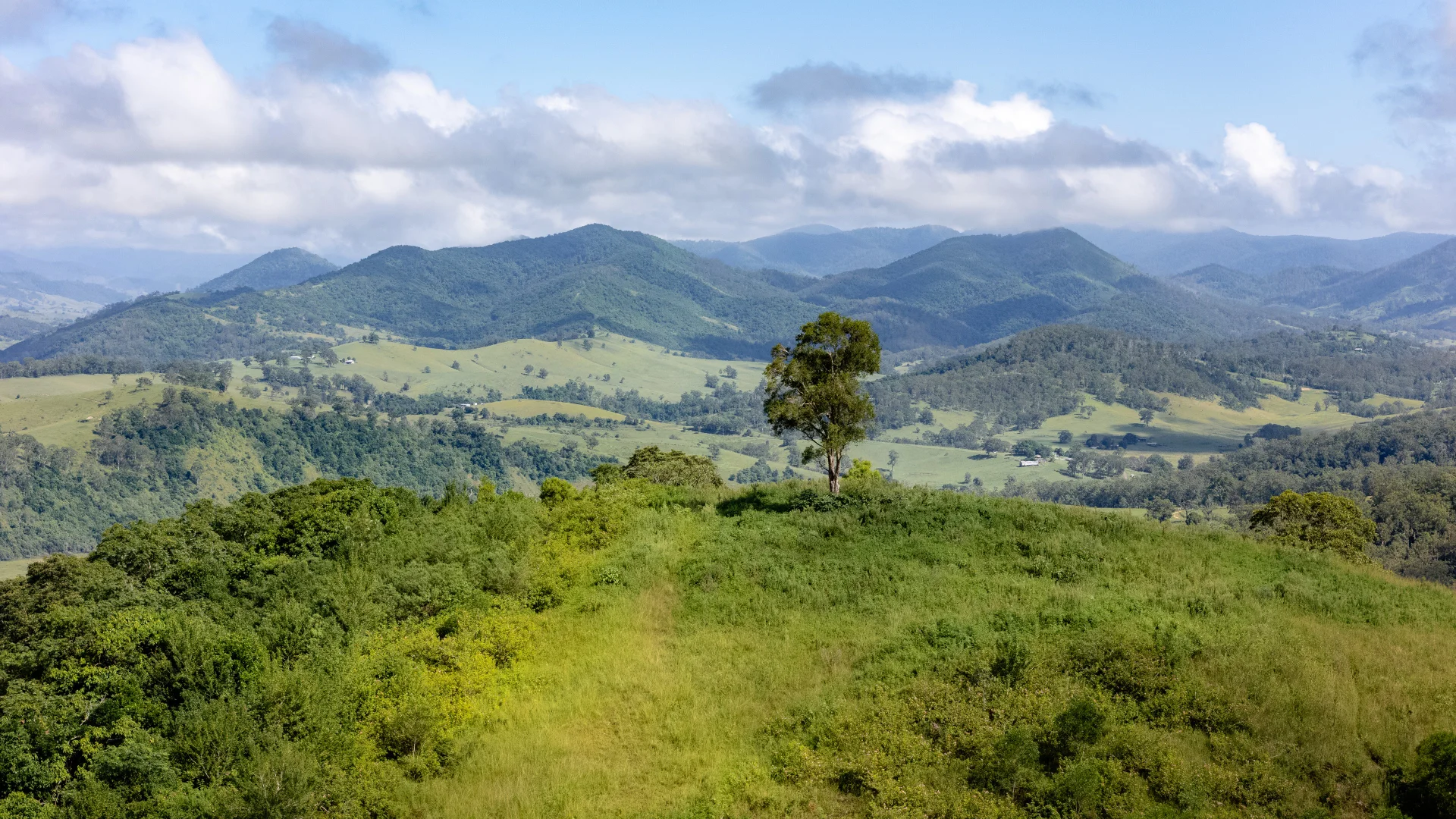 Additional image 6 of 382 Norwood Lane, Mount George NSW 2424