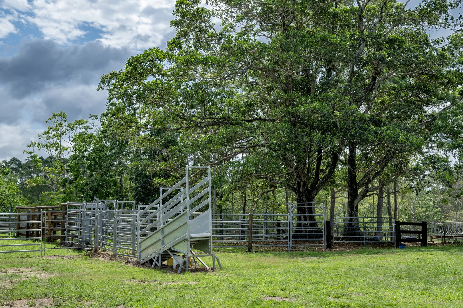 Additional image 17 of 239 Parsons Road, Coondoo QLD 4570