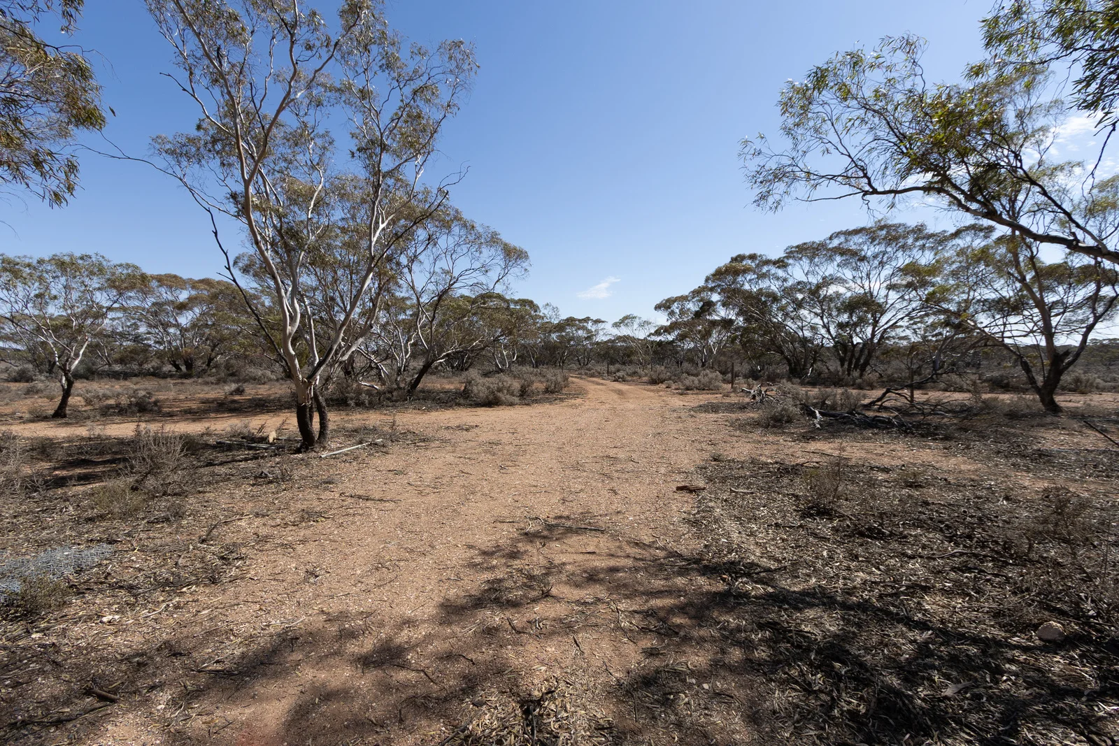 Additional image 11 of Lot 35 Schwerdt Road, Bower SA 5374