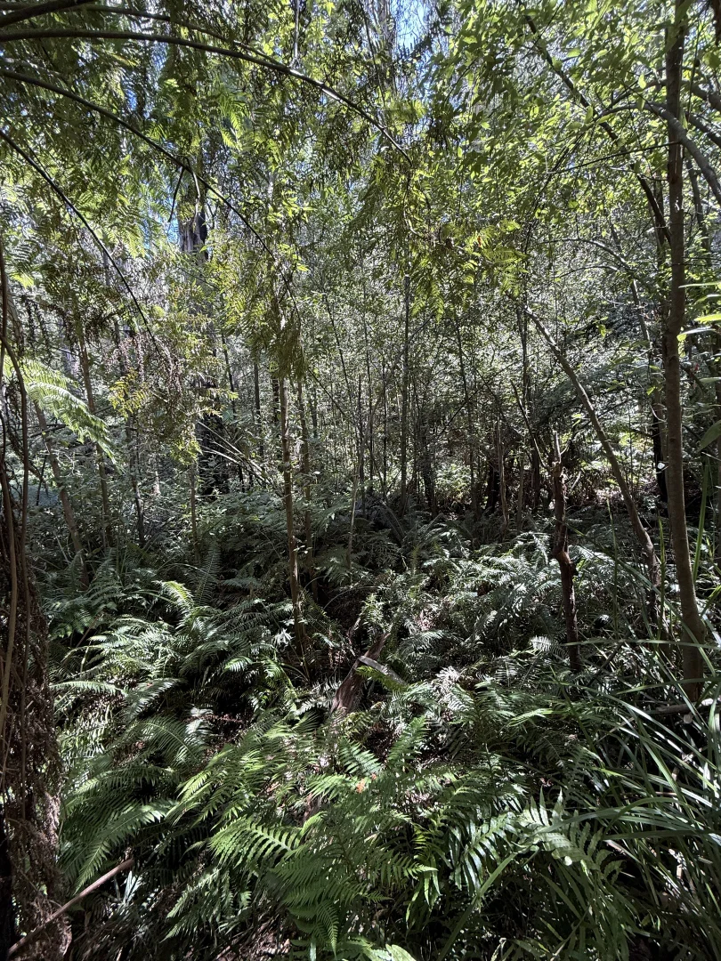 Additional image 3 of 355 Ninks Road, St Andrews VIC 3761