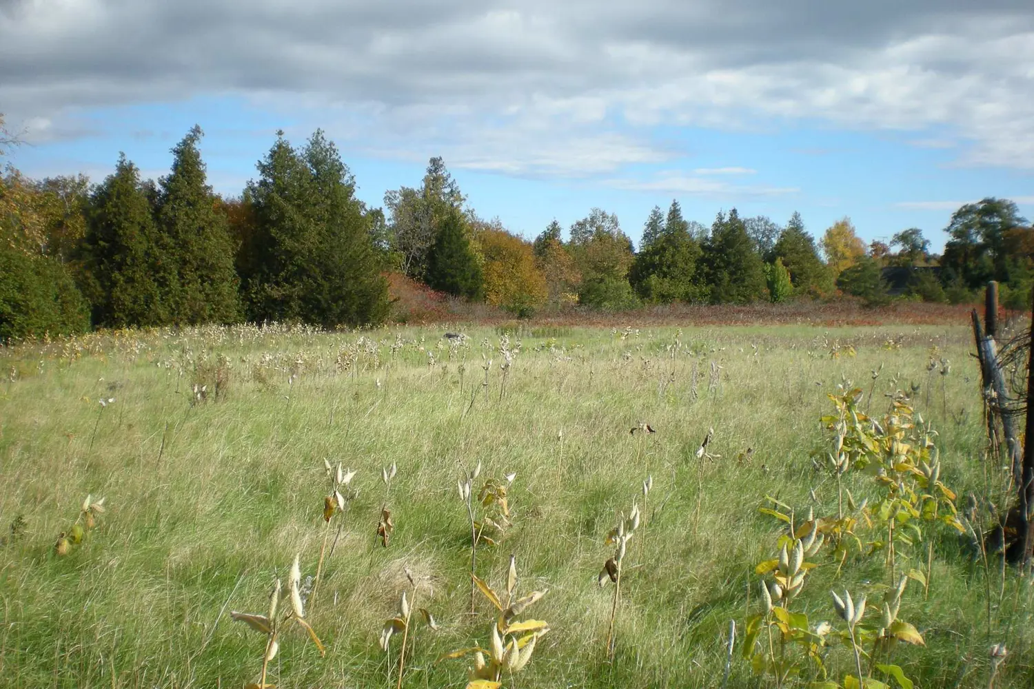County Road 10, Lot 2 photo 5