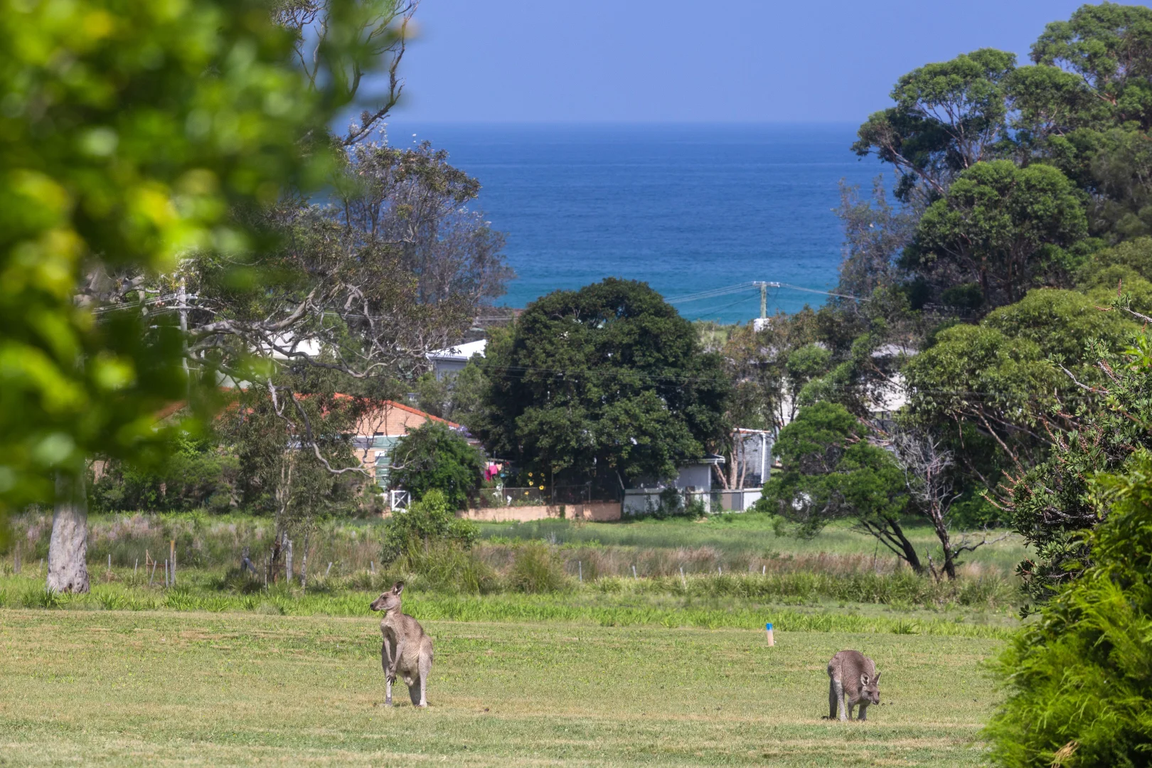 Additional image 34 of Proposed Lot 3/33 Forest Road, Kioloa NSW 2539
