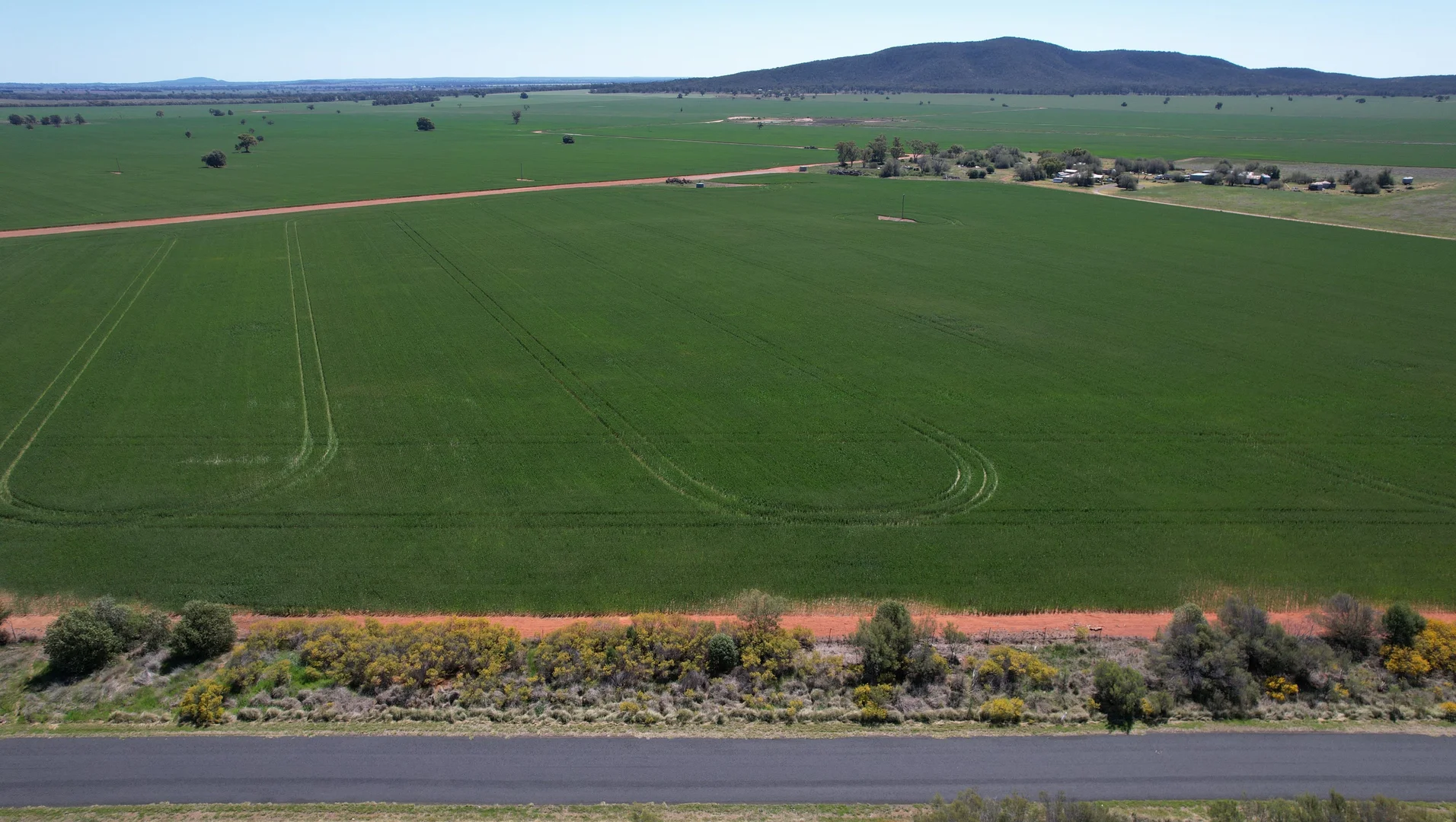 Additional image 5 of 2190 Yarrabandai Road, Trundle NSW 2875