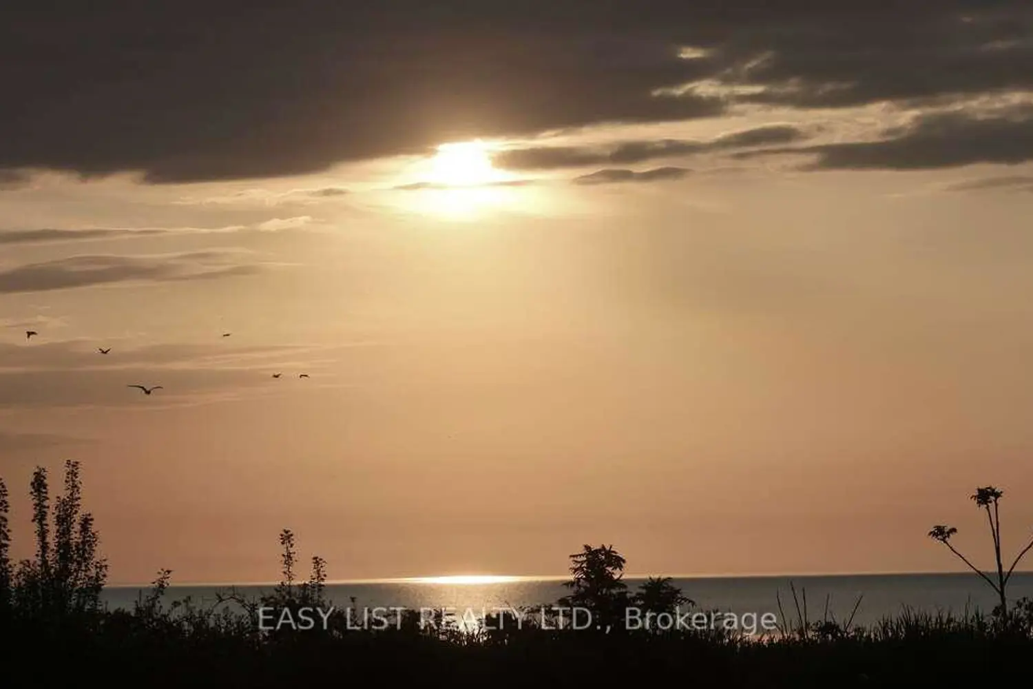 Additional image 14 of 971 Beach Boulevard