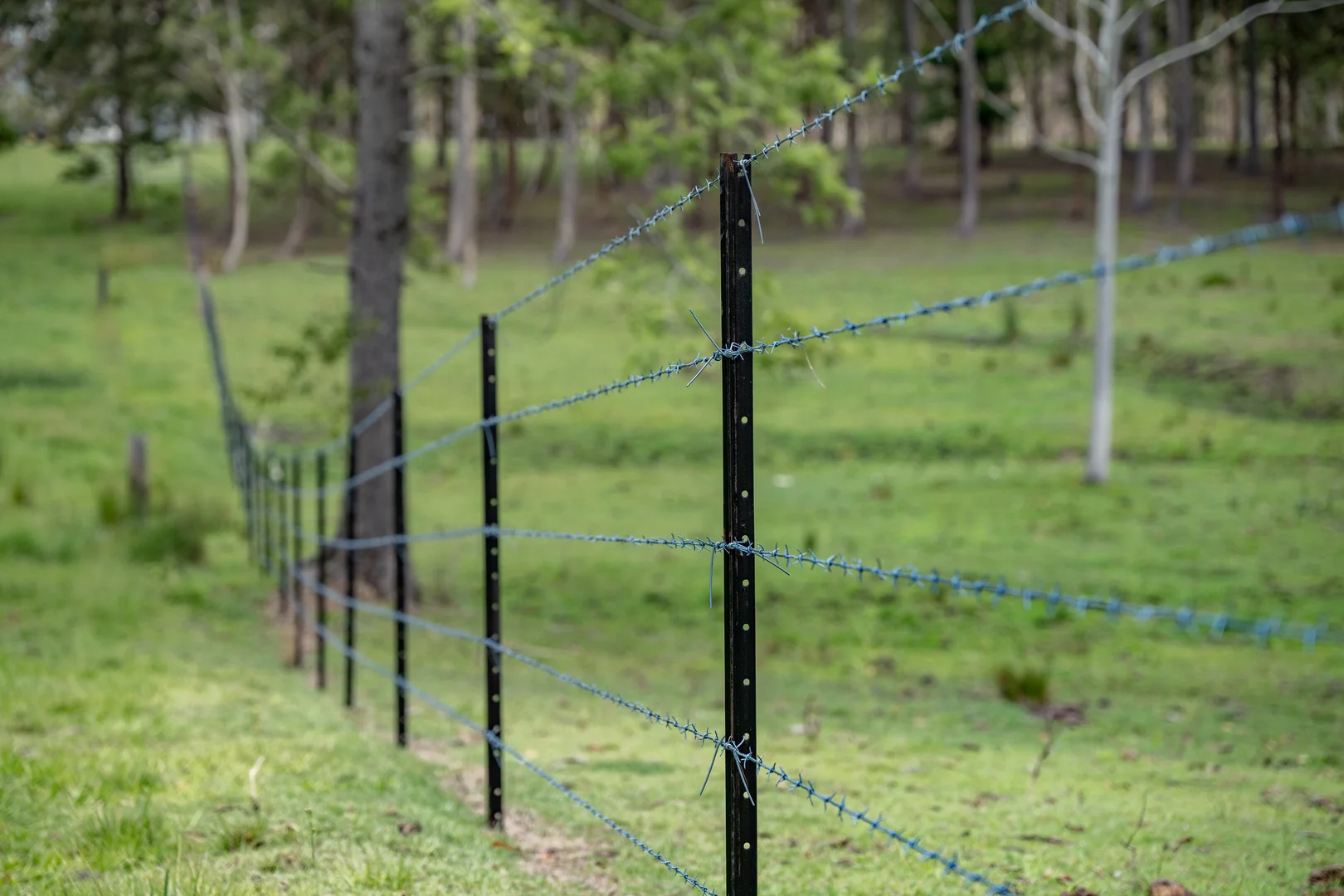 Additional image 13 of 239 Parsons Road, Coondoo QLD 4570