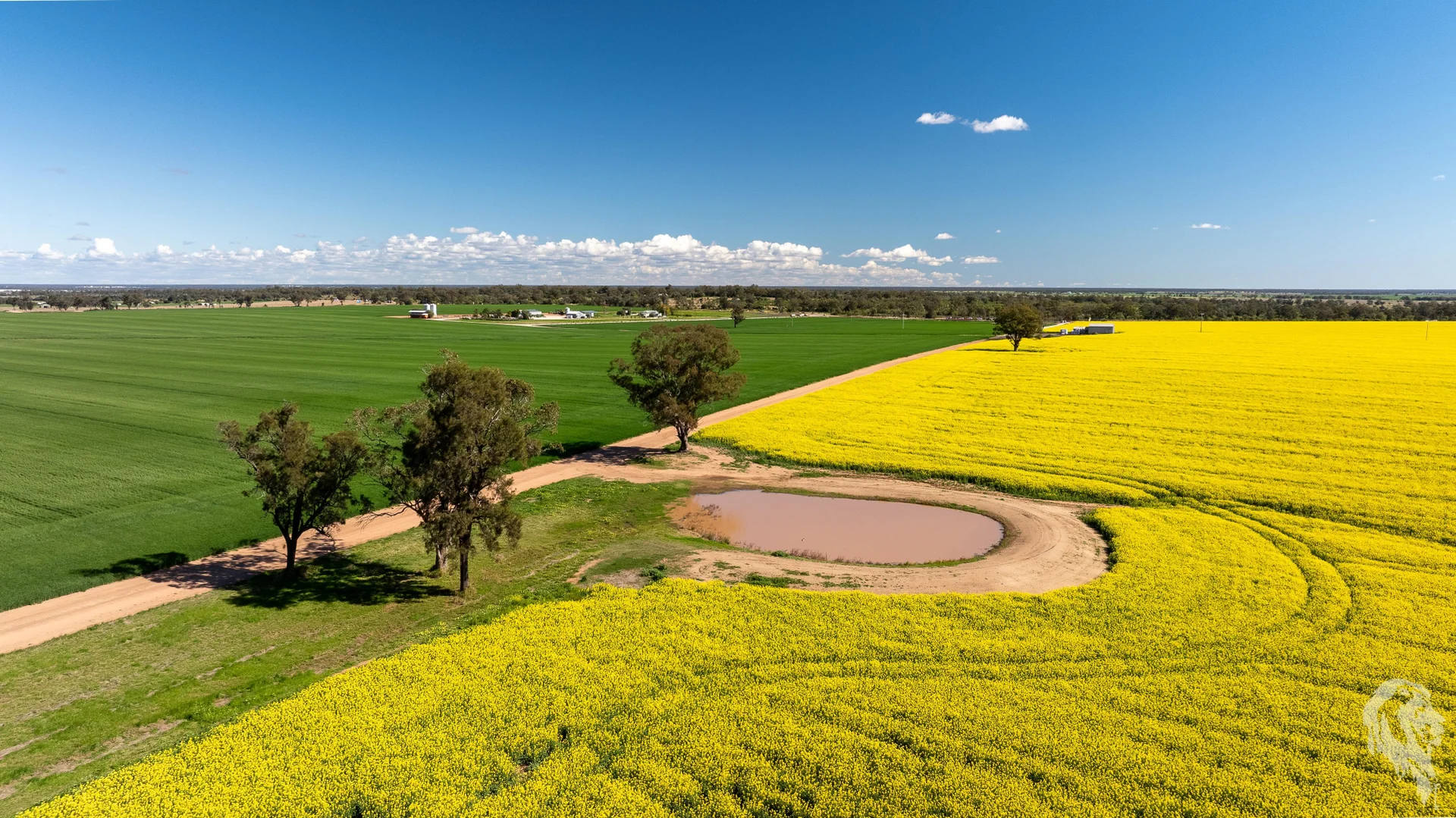 Additional image 11 of 13012 Newell Highway, Narrabri NSW 2390