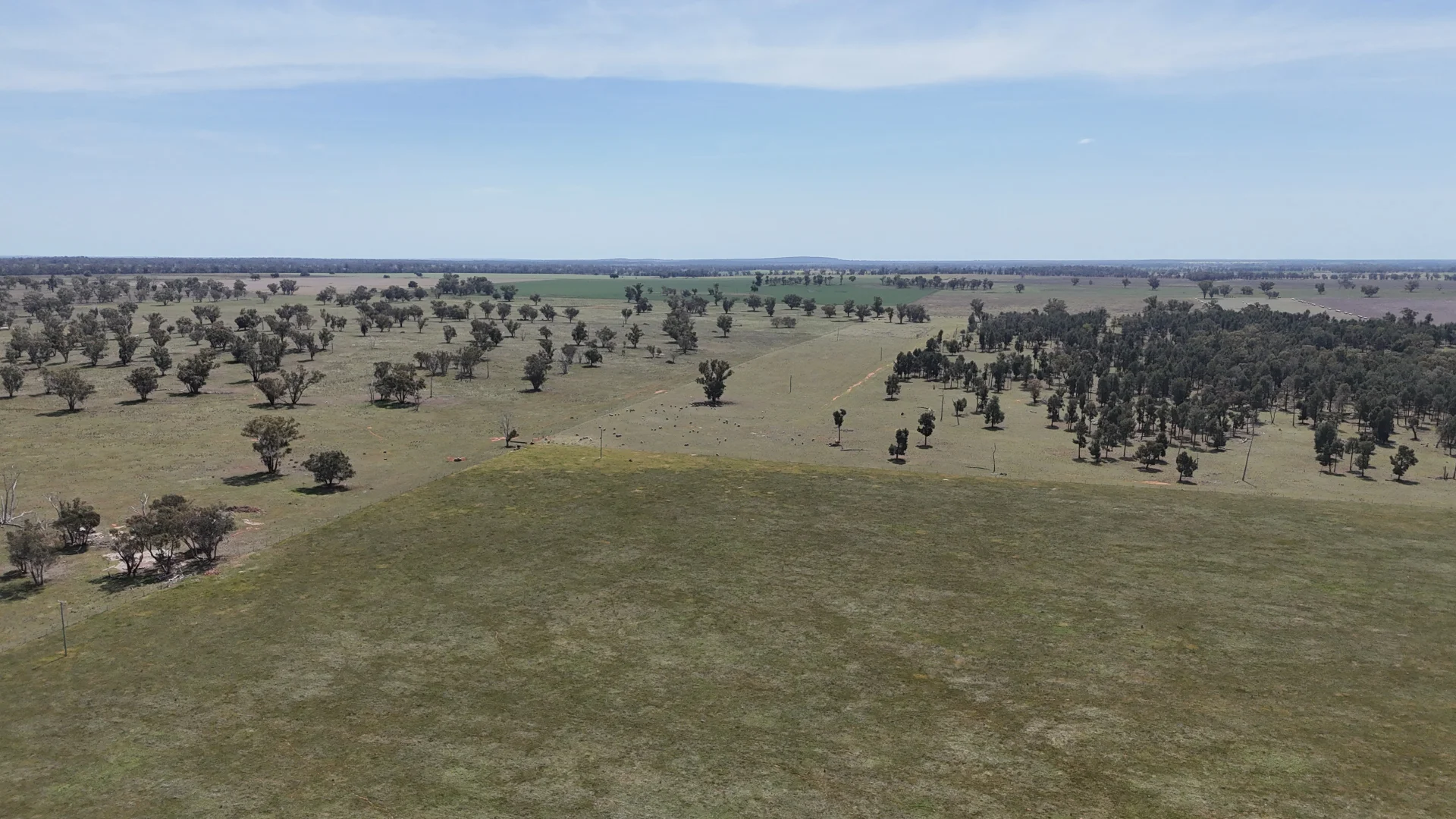 Additional image 5 of 3166 Back Trundle Road, Parkes NSW 2870