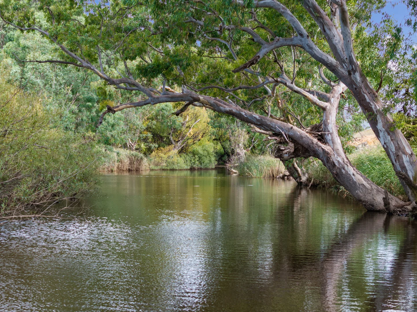Additional image 40 of 639 Yass River Road, Yass NSW 2582