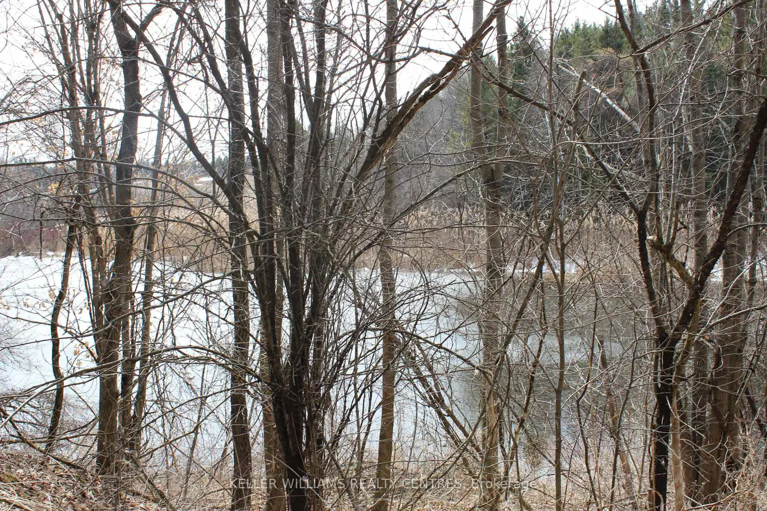 Additional image 7 of Tba Concession Rd 2