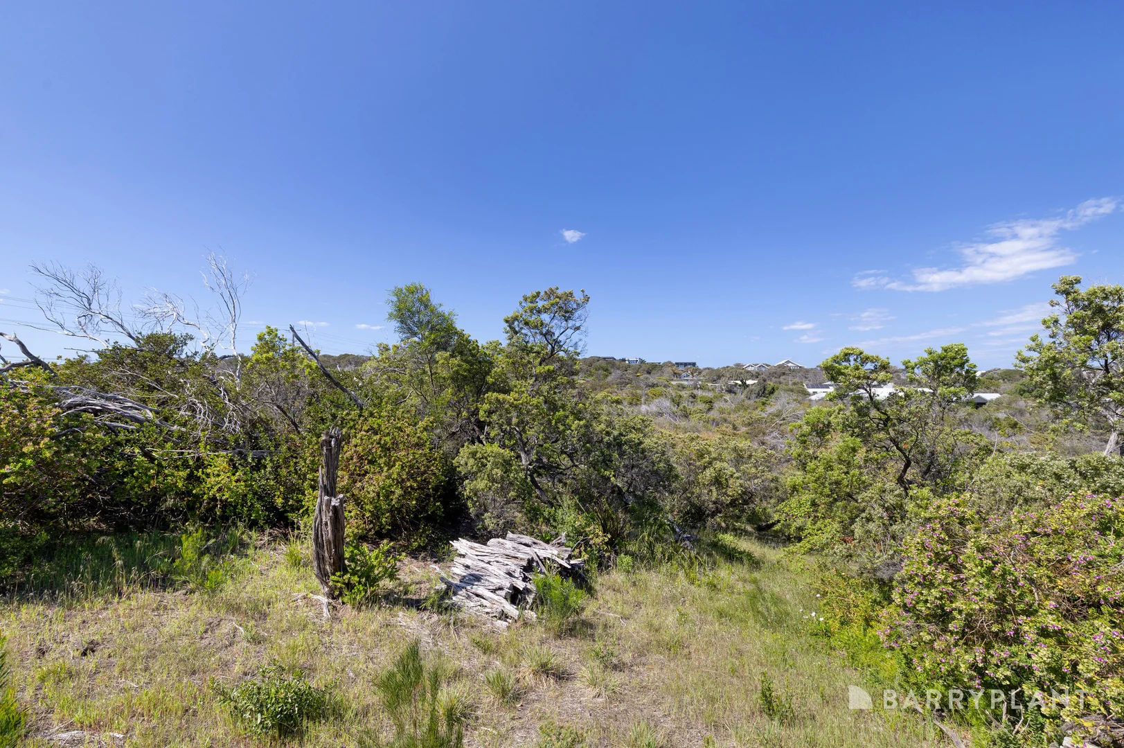 Additional image 3 of 247 Melbourne Road, Blairgowrie VIC 3942