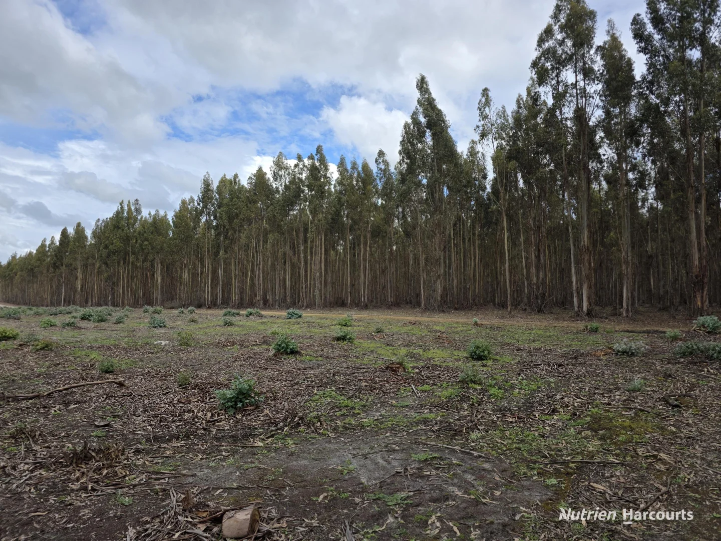 Additional image 2 of 1458 Palmdale Road, Palmdale WA 6328