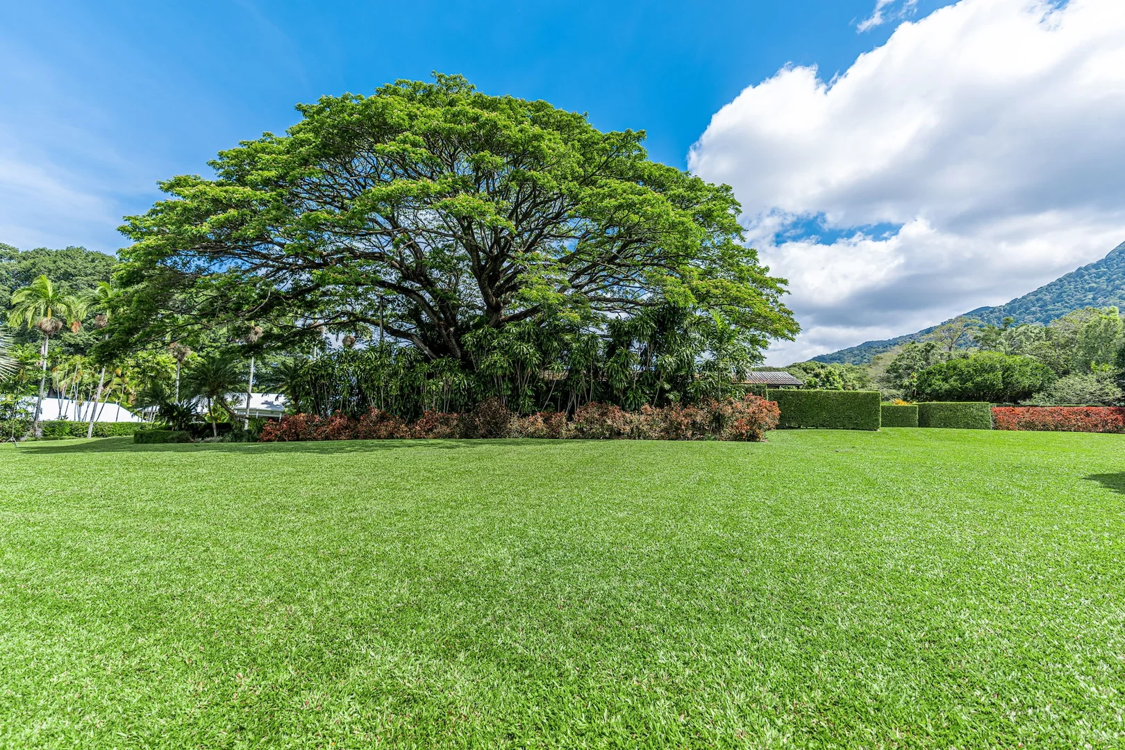 Additional image 10 of Kamerunga Road, Kamerunga QLD 4870