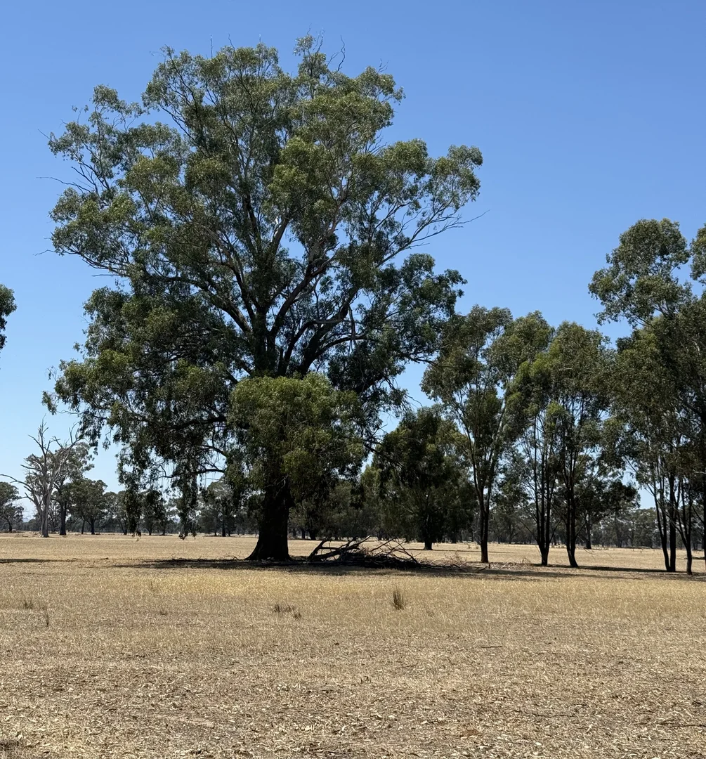 Additional image 11 of Cnr Clohessy Road and Escort Bridge Road, Norong VIC 3682