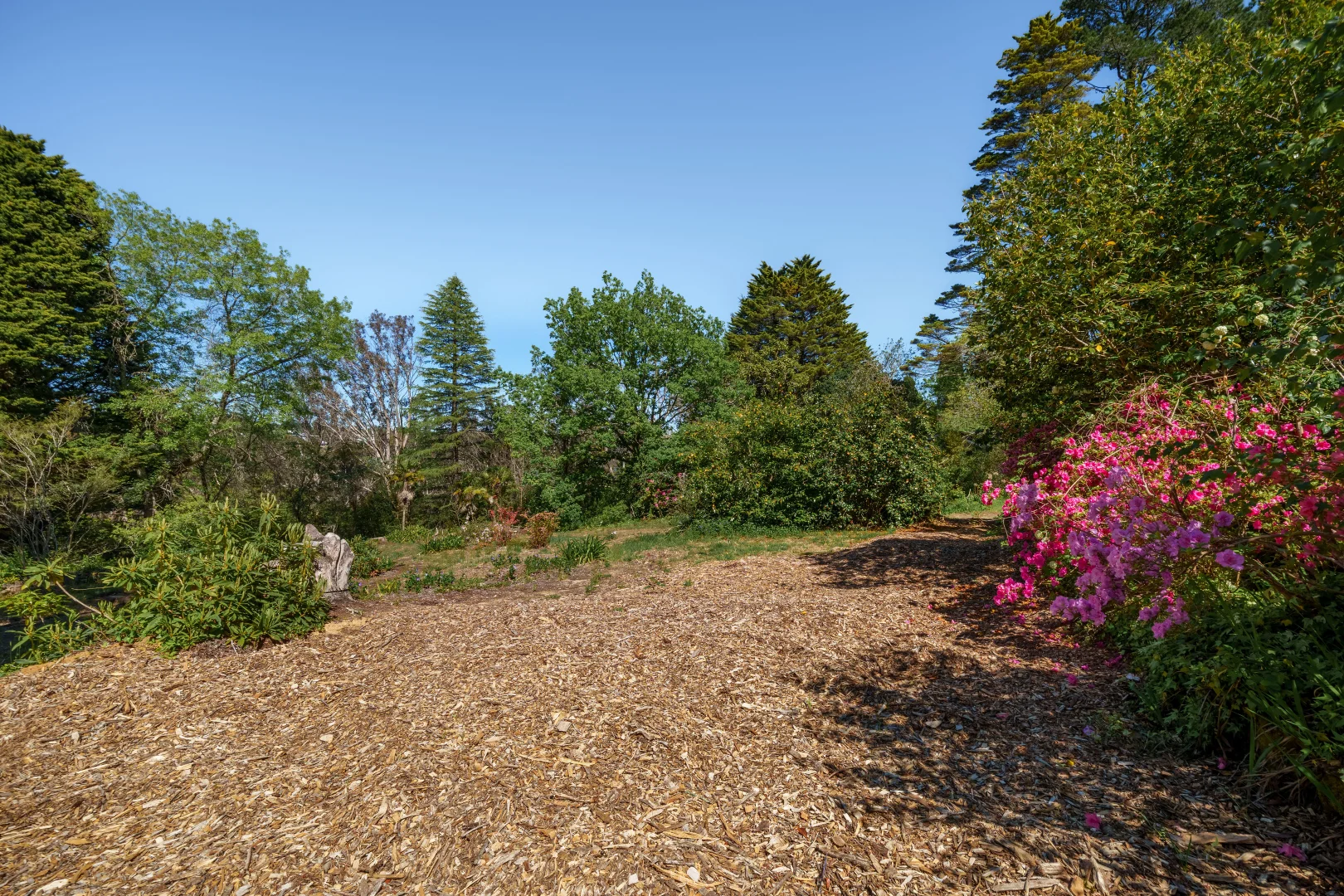 Additional image 2 of 1 Apanie Lane, Wentworth Falls NSW 2782