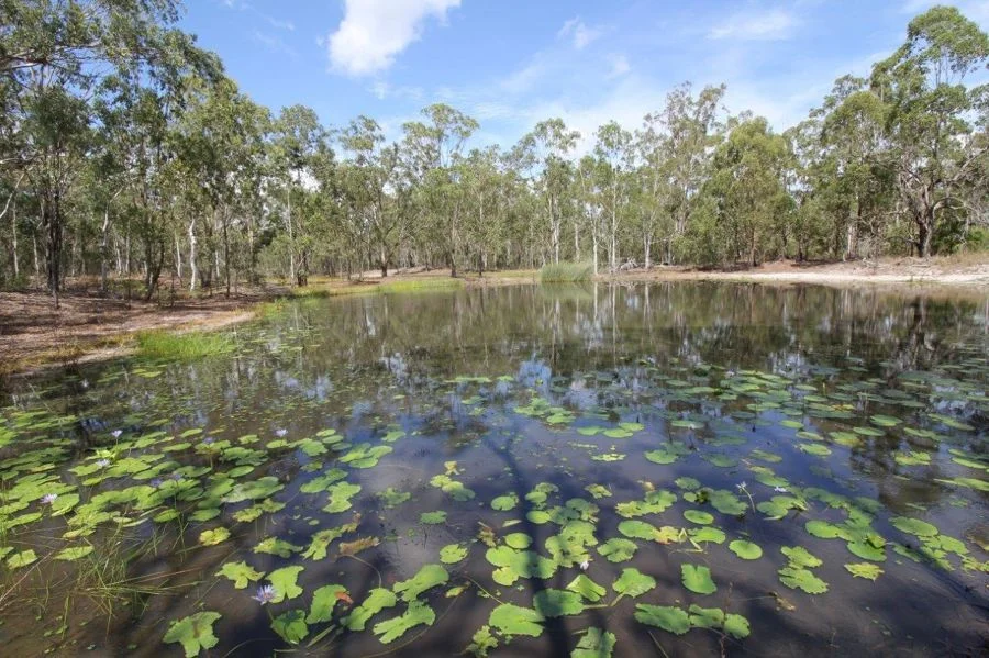 Additional image 31 of 700 Fernfield Road, Deepwater QLD 4674