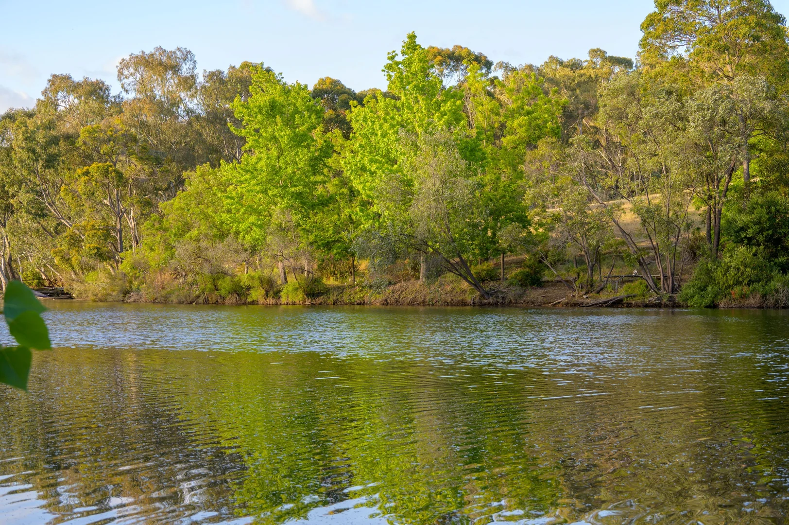 Additional image 11 of 19503 South Western Highway (Brookhampton), Donnybrook WA 6239