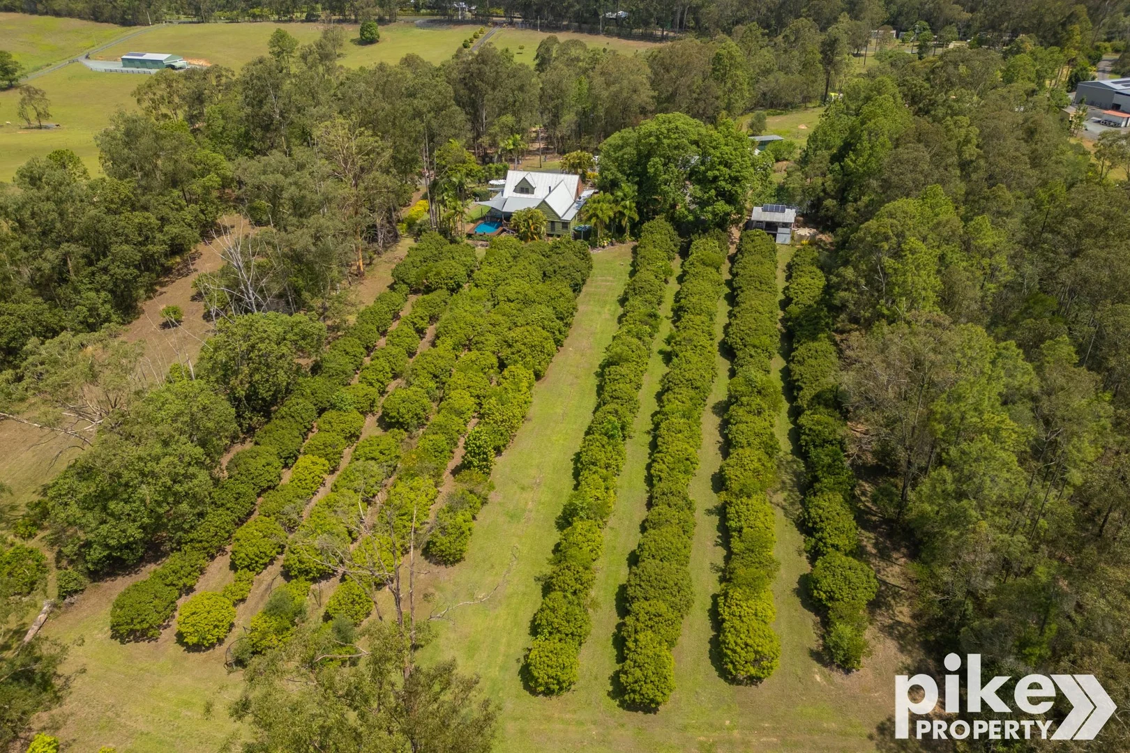 Additional image 38 of 116 W Lindsay Road, Wamuran QLD 4512