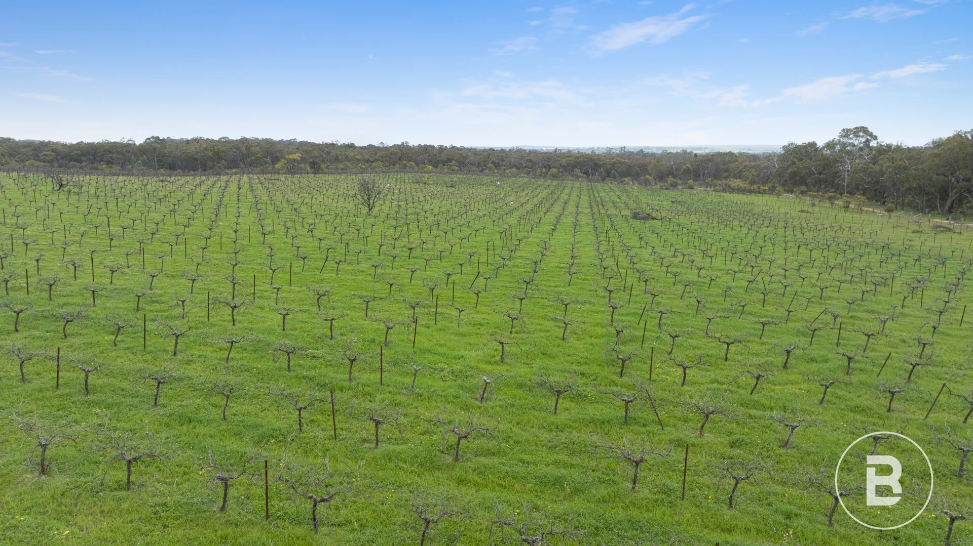 Additional image 21 of 229 Moonambel-Natte Yallock Road, Moonambel VIC 3478