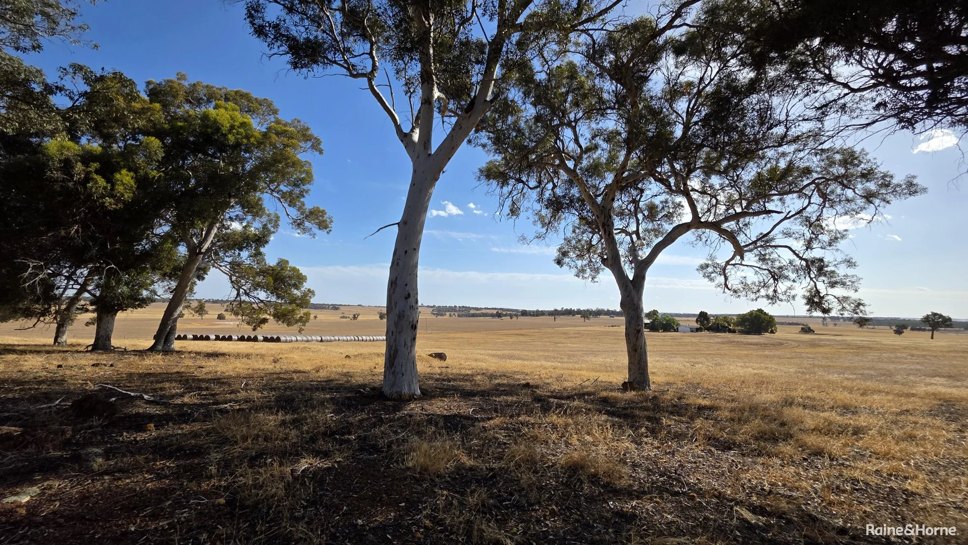 1128 Bokal Road South, Mokup WA 6394