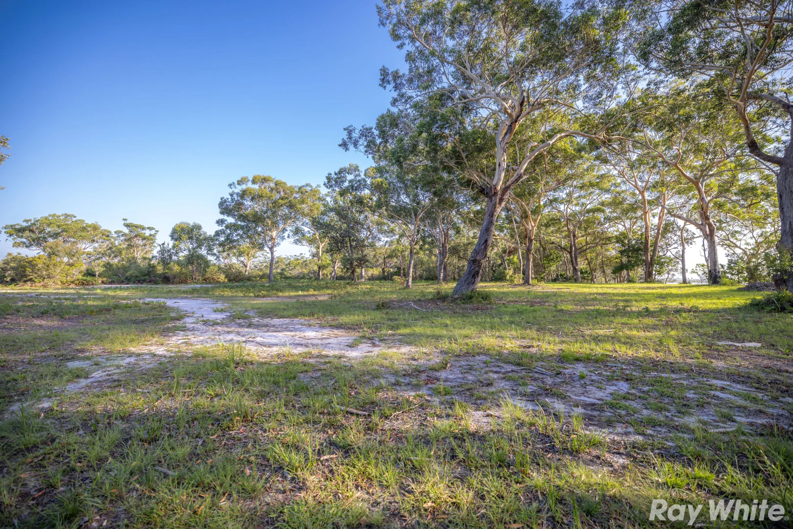 Additional image 8 of Lot 3 Wallis Island, Forster NSW 2428