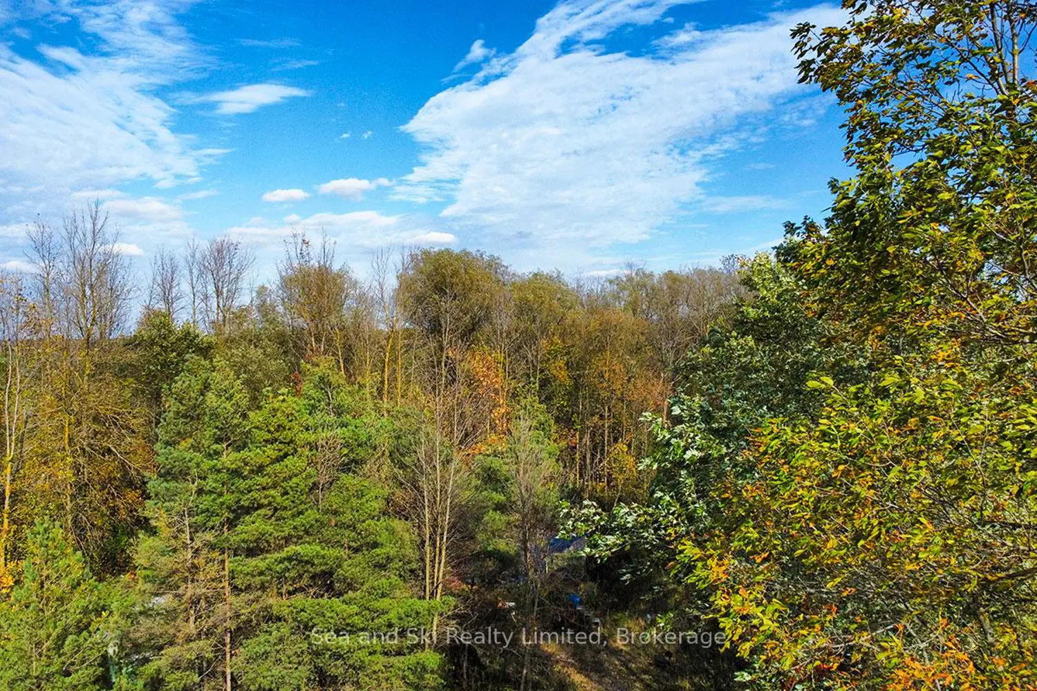 Additional image 18 of 31313 Grey Road 14 Road