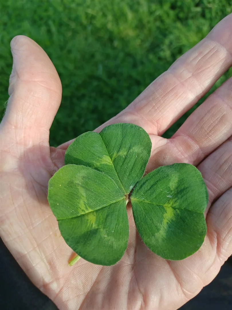 Additional image 16 of 3924 Hume Highway, Tarcutta NSW 2652