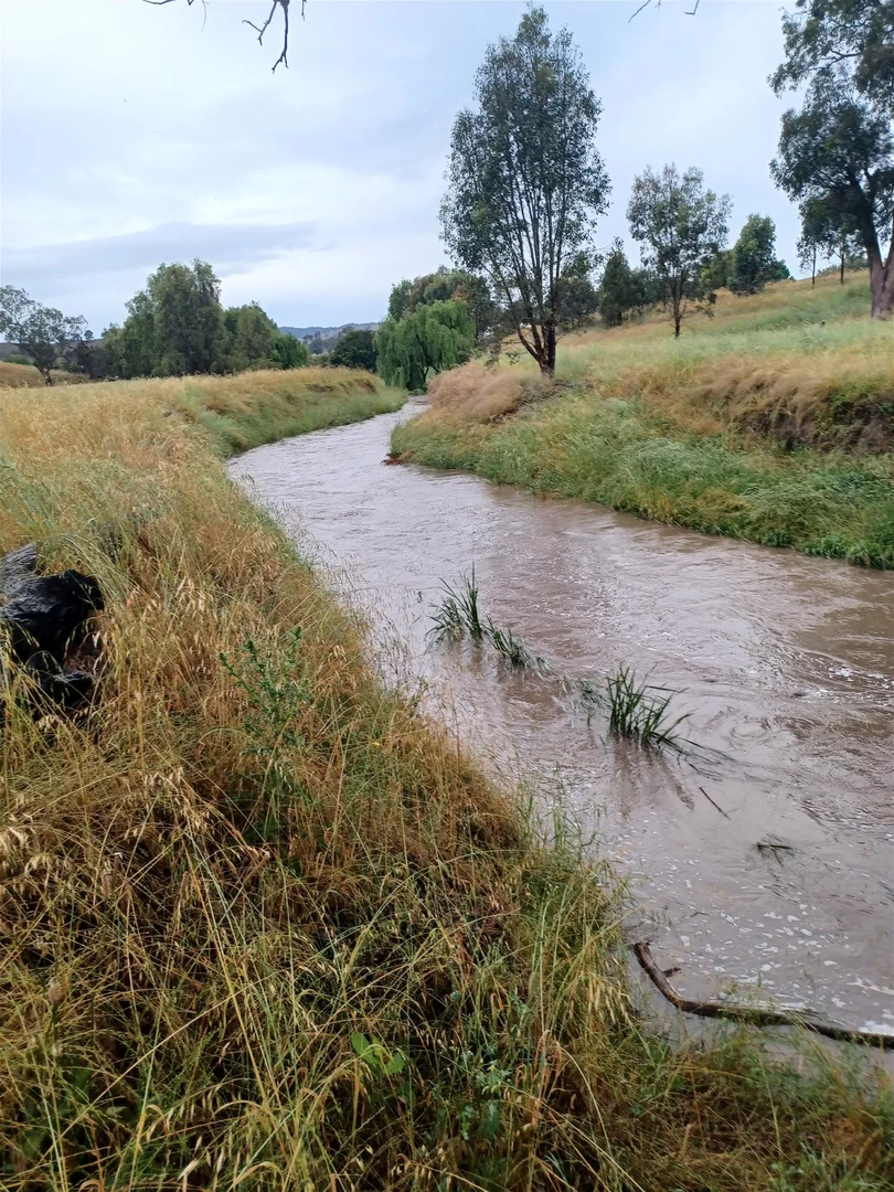Additional image 19 of 3924 Hume Highway, Tarcutta NSW 2652