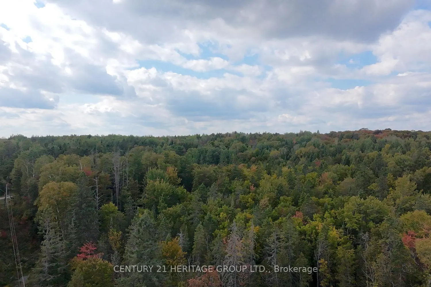 Additional image 9 of 1201 Essonville Line