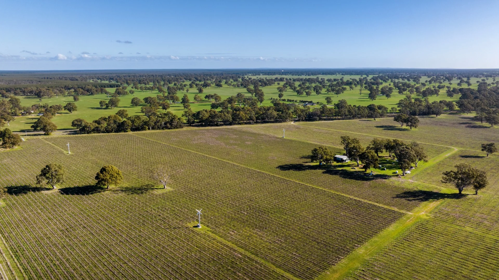 Additional image 2 of 719 Casterton Road, Penola SA 5277