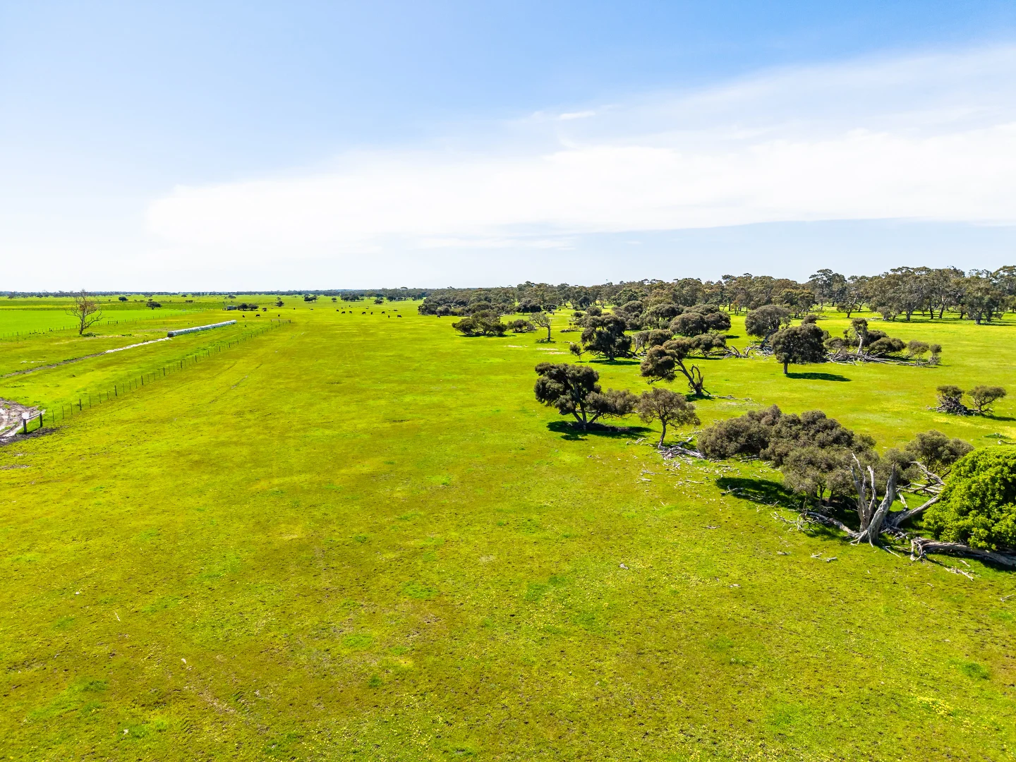 Additional image 4 of 641 Minnie Crowe Road, Avenue Range SA 5273