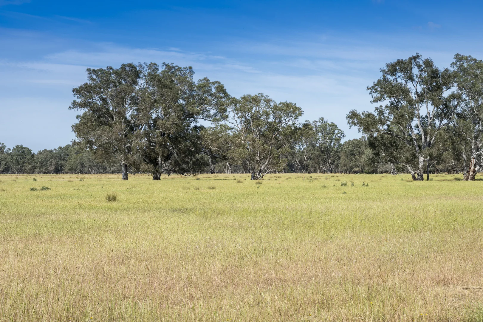 Additional image 8 of CA29A Baddaginnie-Benalla Road, Baddaginnie VIC 3670